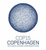 Beyond Copenhagen: Taking Stock and Looking Forward 